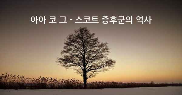 아아 코 그 - 스코트 증후군의 역사