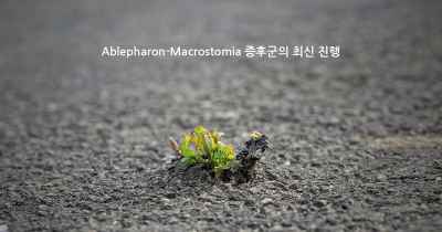 Ablepharon-Macrostomia 증후군의 최신 진행