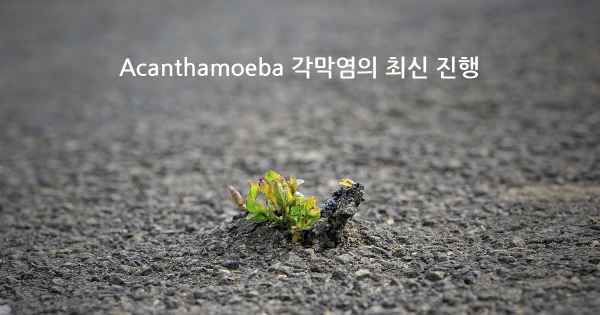 Acanthamoeba 각막염의 최신 진행