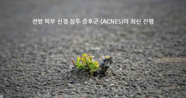 전방 피부 신경 침투 증후군 (ACNES)의 최신 진행