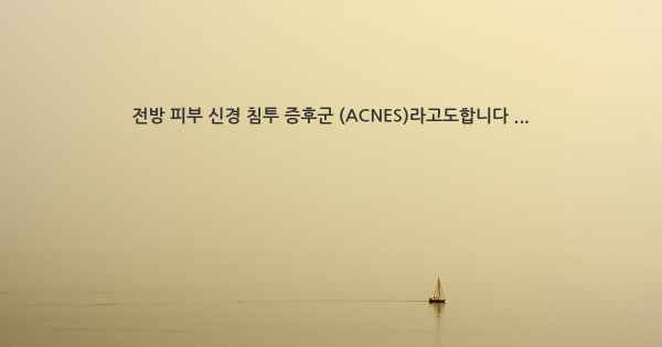 전방 피부 신경 침투 증후군 (ACNES)라고도합니다 ...