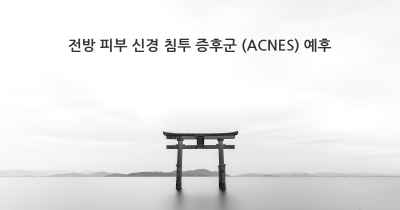 전방 피부 신경 침투 증후군 (ACNES) 예후