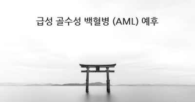 급성 골수성 백혈병 (AML) 예후