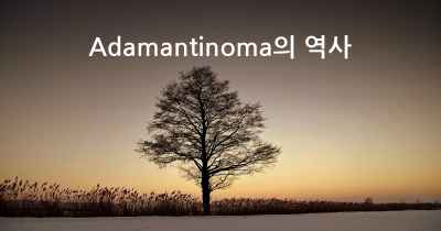 Adamantinoma의 역사