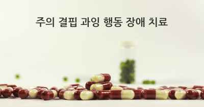 주의 결핍 과잉 행동 장애 치료