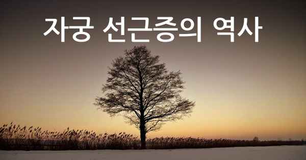 자궁 선근증의 역사