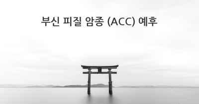 부신 피질 암종 (ACC) 예후