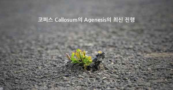 코퍼스 Callosum의 Agenesis의 최신 진행