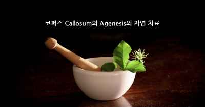 코퍼스 Callosum의 Agenesis의 자연 치료