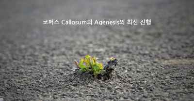 코퍼스 Callosum의 Agenesis의 최신 진행