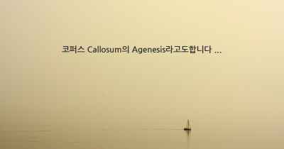 코퍼스 Callosum의 Agenesis라고도합니다 ...