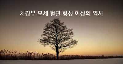 치경부 모세 혈관 형성 이상의 역사