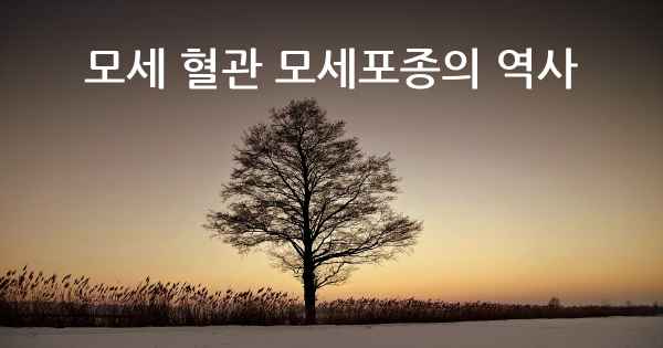 모세 혈관 모세포종의 역사