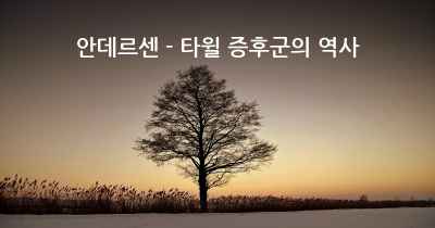 안데르센 - 타윌 증후군의 역사