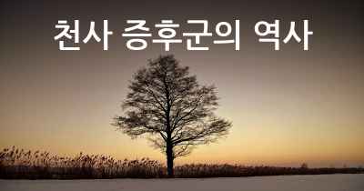 천사 증후군의 역사