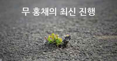무 홍채의 최신 진행