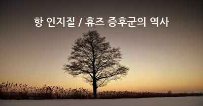 항 인지질 / 휴즈 증후군의 역사