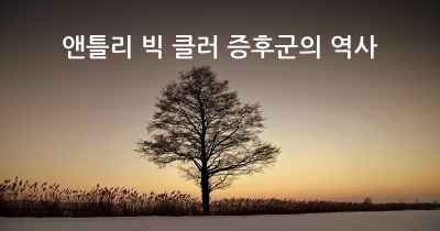 앤틀리 빅 클러 증후군의 역사