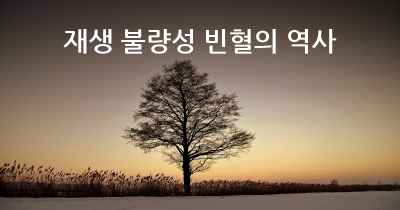 재생 불량성 빈혈의 역사