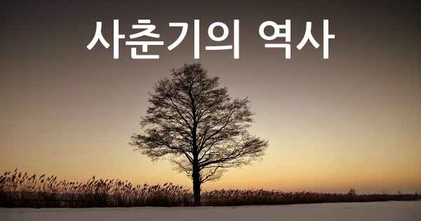 사춘기의 역사