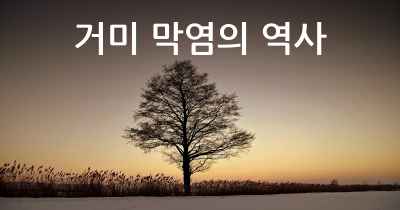 거미 막염의 역사