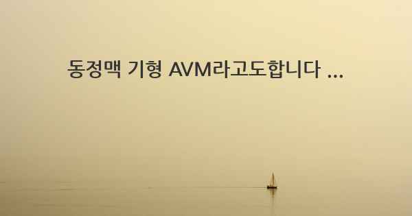 동정맥 기형 AVM라고도합니다 ...