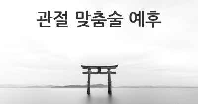 관절 맞춤술 예후