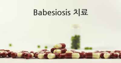 Babesiosis 치료