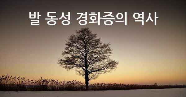 발 동성 경화증의 역사