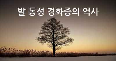 발 동성 경화증의 역사