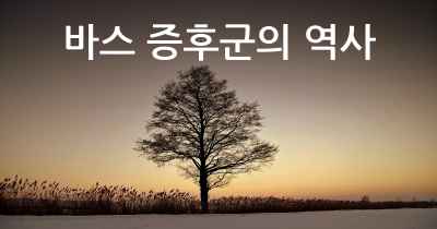 바스 증후군의 역사