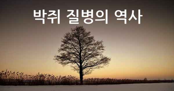 박쥐 질병의 역사