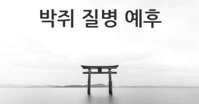 박쥐 질병 예후