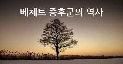 베체트 증후군의 역사