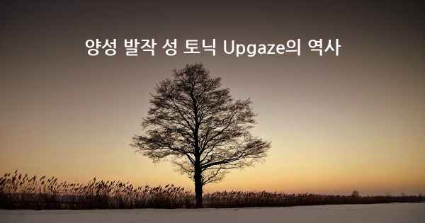 양성 발작 성 토닉 Upgaze의 역사