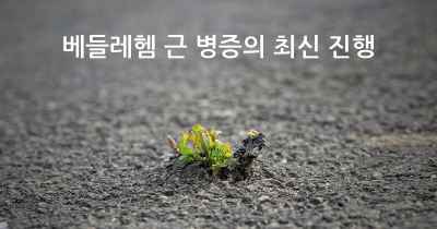 베들레헴 근 병증의 최신 진행