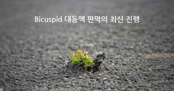 Bicuspid 대동맥 판막의 최신 진행