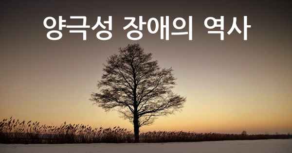 양극성 장애의 역사