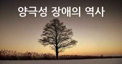 양극성 장애의 역사