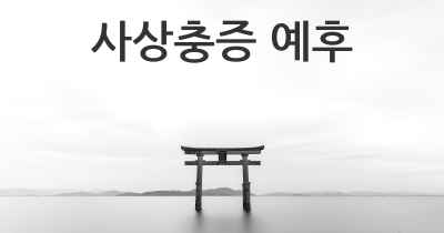 사상충증 예후