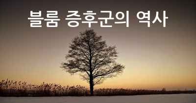 블룸 증후군의 역사