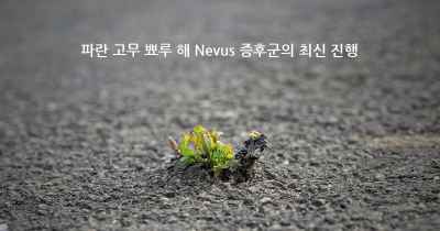 파란 고무 뾰루 해 Nevus 증후군의 최신 진행