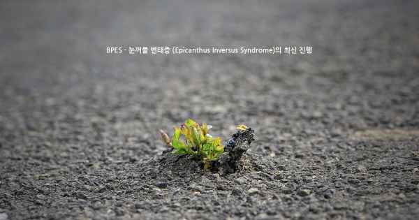 BPES - 눈꺼풀 변태증 (Epicanthus Inversus Syndrome)의 최신 진행