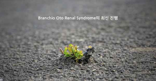 Branchio Oto Renal Syndrome의 최신 진행