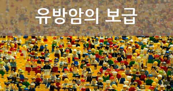 유방암의 보급