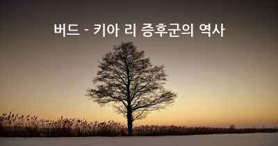 버드 - 키아 리 증후군의 역사