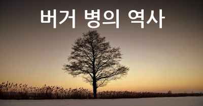 버거 병의 역사