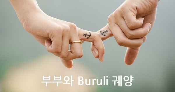 부부와 Buruli 궤양