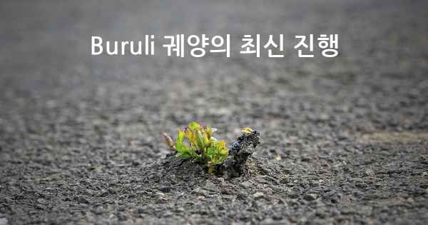 Buruli 궤양의 최신 진행