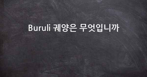 Buruli 궤양은 무엇입니까